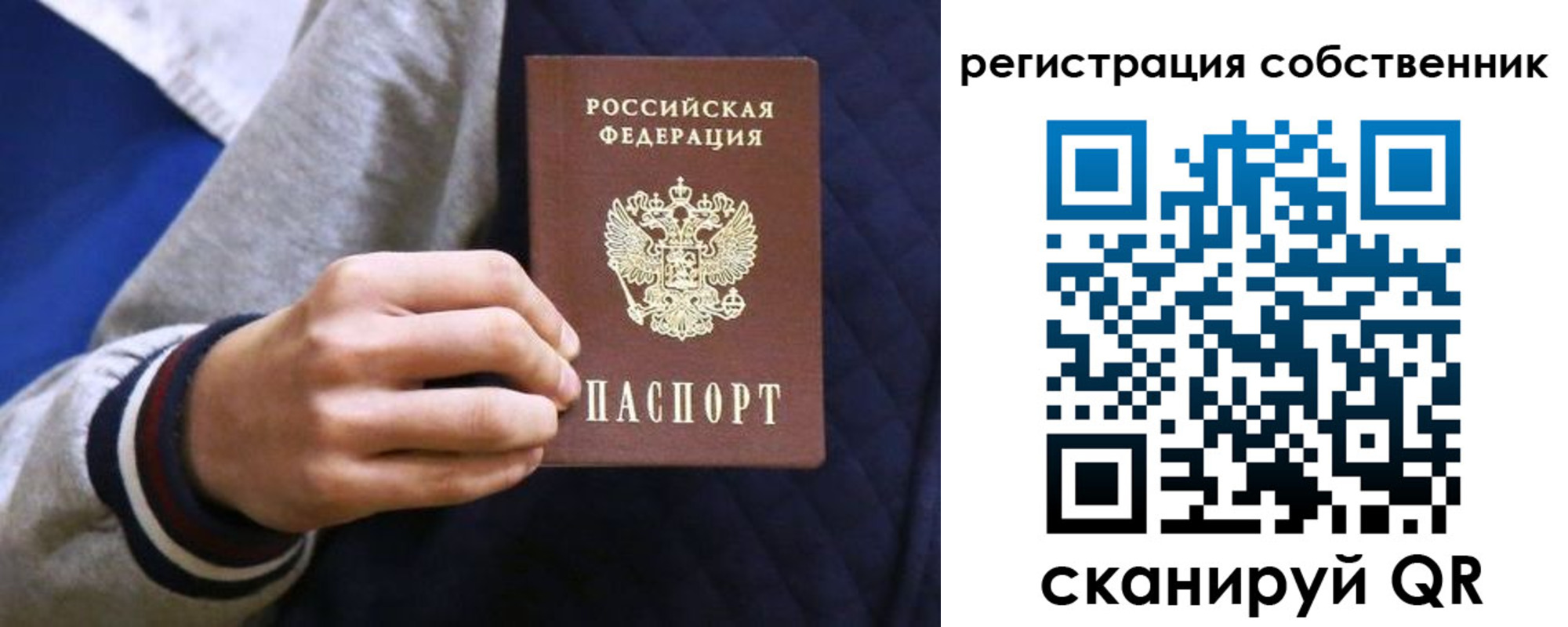 прописка поиск в Полярных Зорях